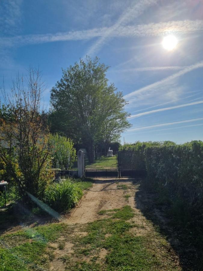 Les 3 Cedres Villa Miramont-de-Guyenne Bagian luar foto